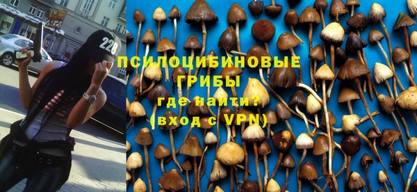 дживик Верея
