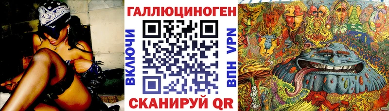 Галлюциногенные грибы Psilocybine cubensis  Гаврилов-Ям 